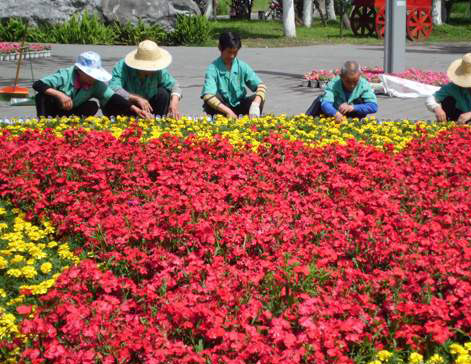 10万盆花卉为湘潭城区添风采