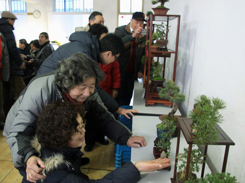 镇江市：举办社区老干部花卉盆景艺术展