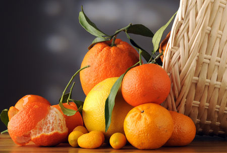 关于我国柑橘的种植历史记载