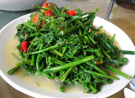 水蕨菜的食用价值：水蕨菜的营养价值和食用方法