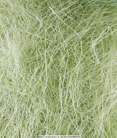 什么是植物纤维？植物纤维有哪些种类？？