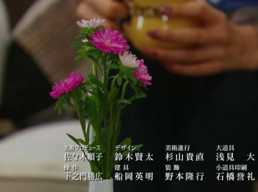 日剧《不结婚》：翠菊的花语
