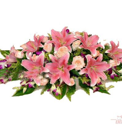 粉色百合花的花语是什么?