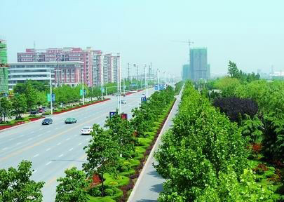 城市园林绿地系统规划与城市园林建设四个要点