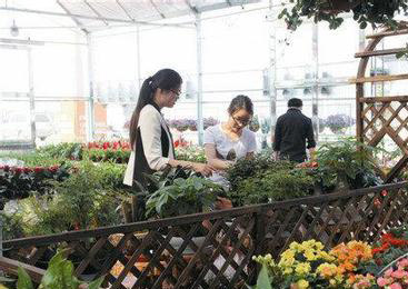 中国首届家庭花卉园艺展览会本月在夏溪花木市场开幕