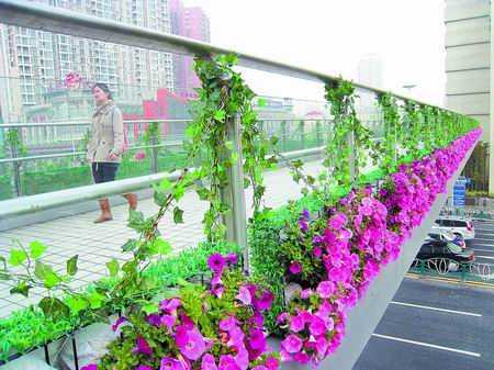 东莞市：市民和网友建议在天桥上种花卉和绿色植被