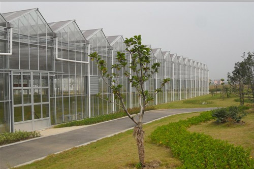 种植花卉的三种温室类型：塑料大棚、日光温室和全光温室