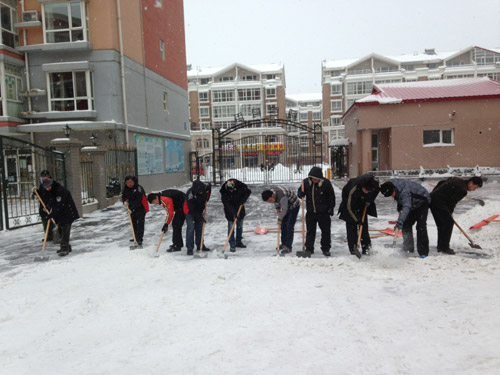 哈尔滨松北区率先禁止使用融雪剂取得经济效益生态效益