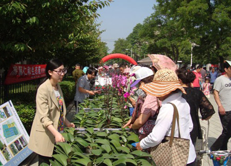广西玉林市：淡季不淡 夏季花卉市场鲜花生意忙