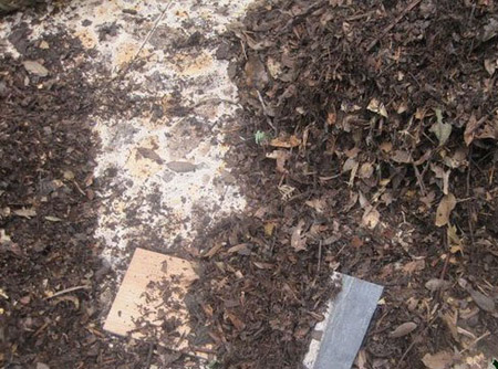 自制养花土壤——腐叶土制作方法