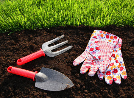 怎么给养花用的土壤消毒？有哪些方法？
