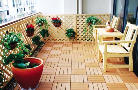 阳台养花技巧：根据阳台光照栽种不同的花卉植物