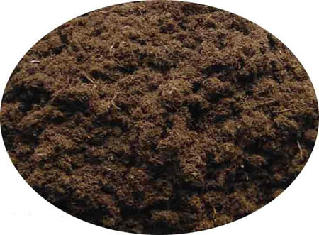 什么是草炭土？草炭土的作用和使用方法