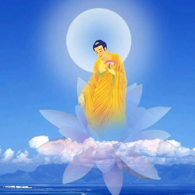 荷花在佛教中的寓意和象征意义