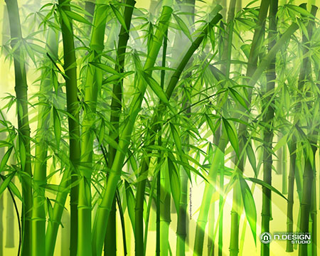 最新绿色植物背景高清图片