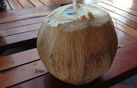 喝椰子水有什么好处？椰子水的美味喝法