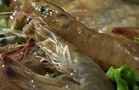 基围虾怎么做好吃？基围虾的营养价值和吃法做法
